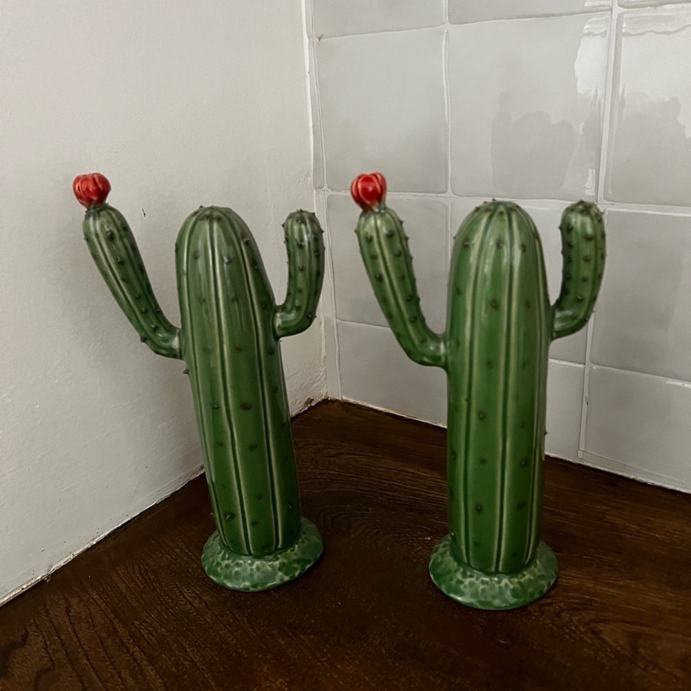 Decorative cacti / cactus